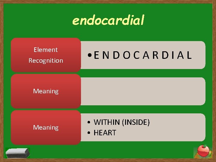 endocardial Element Recognition • E N D O C A R D I A