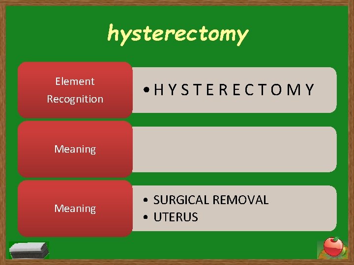 hysterectomy Element Recognition • H Y S T E R E C T O