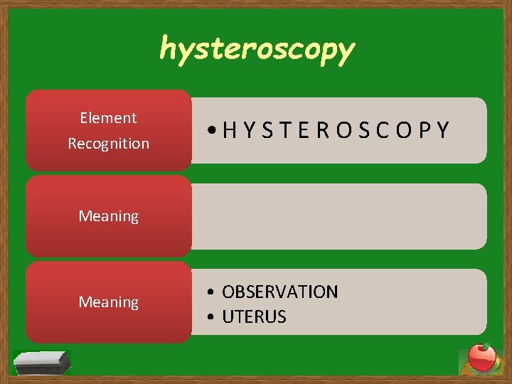 hysteroscopy Element Recognition • H Y S T E R O S C O