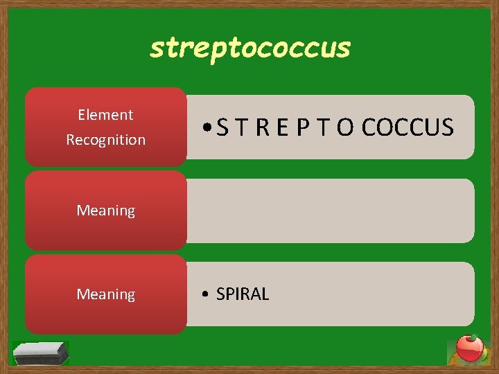 streptococcus Element Recognition • S T R E P T O COCCUS Meaning •