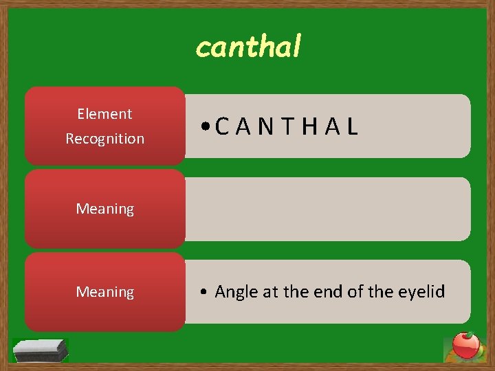 canthal Element Recognition • C A N T H A L Meaning • Angle