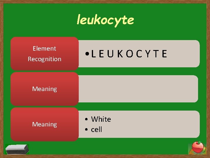 leukocyte Element Recognition • L E U K O C Y T E Meaning