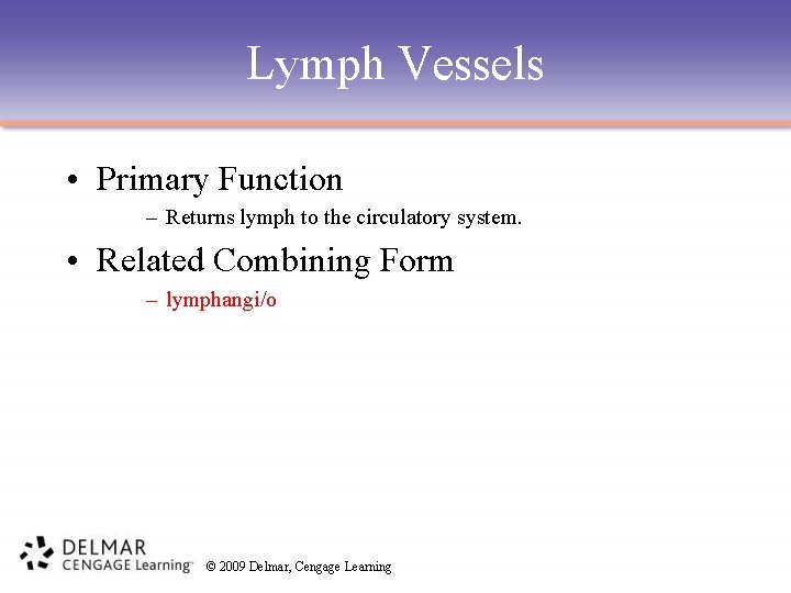Lymph Vessels • Primary Function – Returns lymph to the circulatory system. • Related