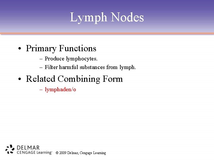 Lymph Nodes • Primary Functions – Produce lymphocytes. – Filter harmful substances from lymph.