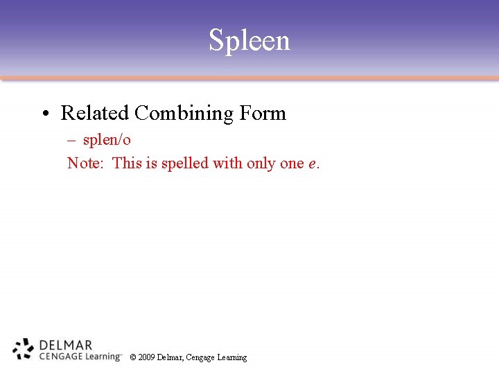 Spleen • Related Combining Form – splen/o Note: This is spelled with only one