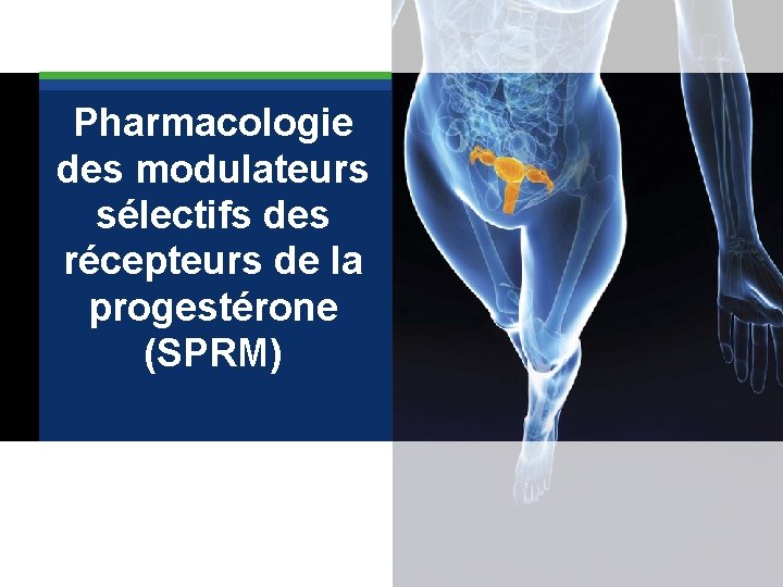  Pharmacologie des modulateurs sélectifs des récepteurs de la progestérone (SPRM) 