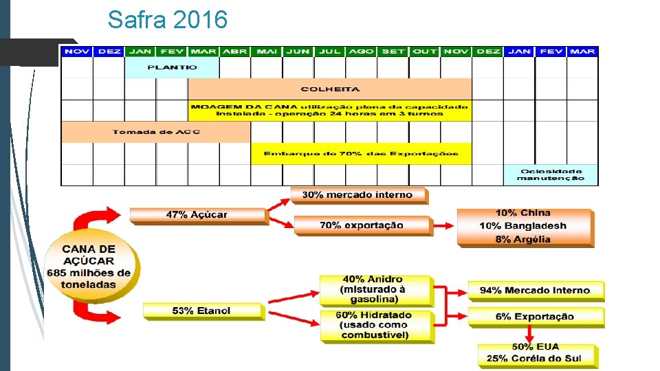 Safra 2016 