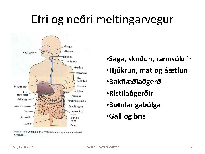 Efri og neðri meltingarvegur • Saga, skoðun, rannsóknir • Hjúkrun, mat og áætlun •