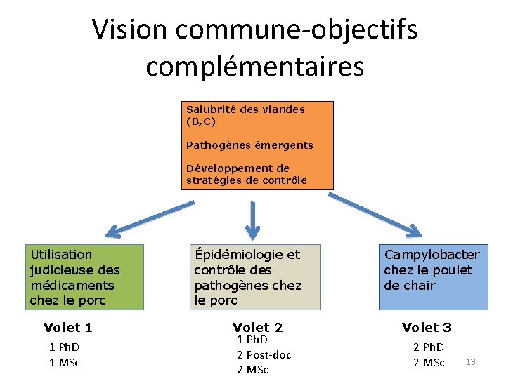 Vision commune-objectifs complémentaires Salubrité des viandes (B, C) Pathogènes émergents Développement de stratégies de