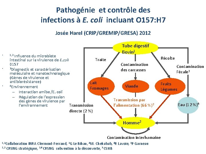 Pathogénie et contrôle des infections à E. coli incluant O 157: H 7 Josée