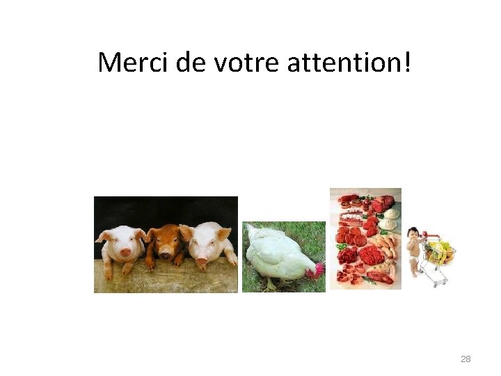 Merci de votre attention! 28 