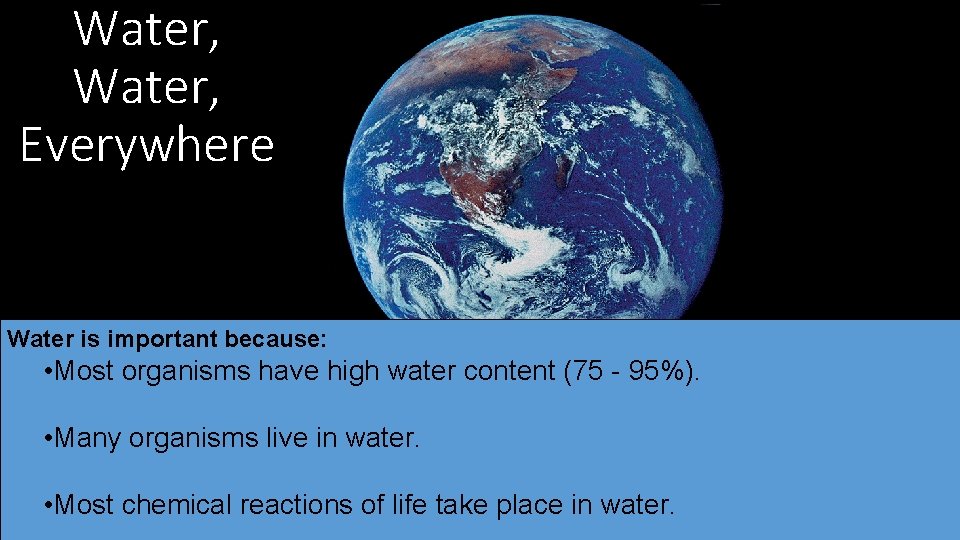 Water, Everywhere Water is important because: • Most organisms have high water content (75