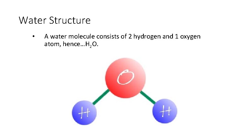 Water Structure • A water molecule consists of 2 hydrogen and 1 oxygen atom,