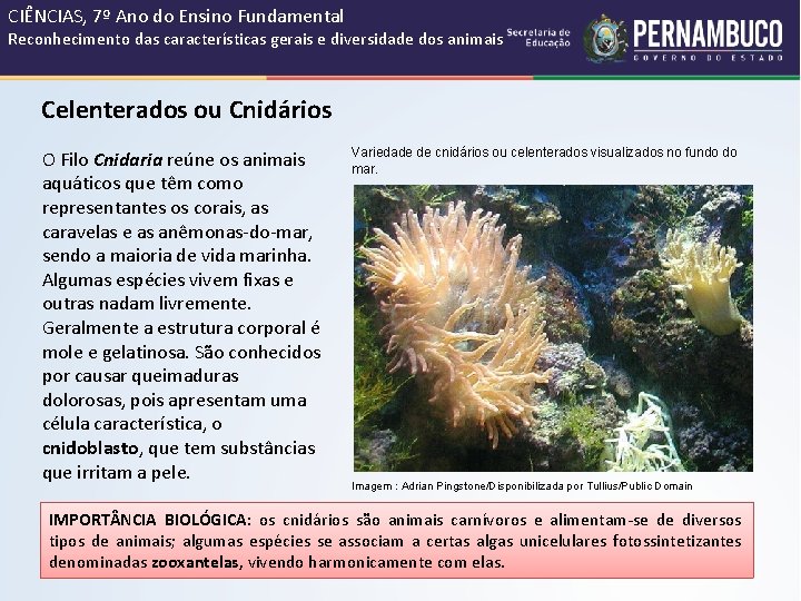 Cincias da Natureza e suas Tecnologias Cincias Ensino