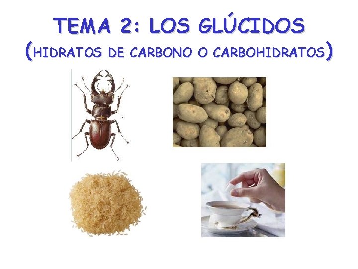 TEMA 2: LOS GLÚCIDOS (HIDRATOS DE CARBONO O CARBOHIDRATOS) 