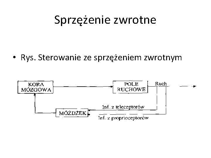 Sprzężenie zwrotne • Rys. Sterowanie ze sprzężeniem zwrotnym 