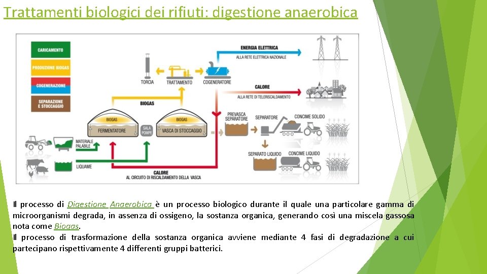 Trattamenti biologici dei rifiuti: digestione anaerobica Il processo di Digestione Anaerobica è un processo