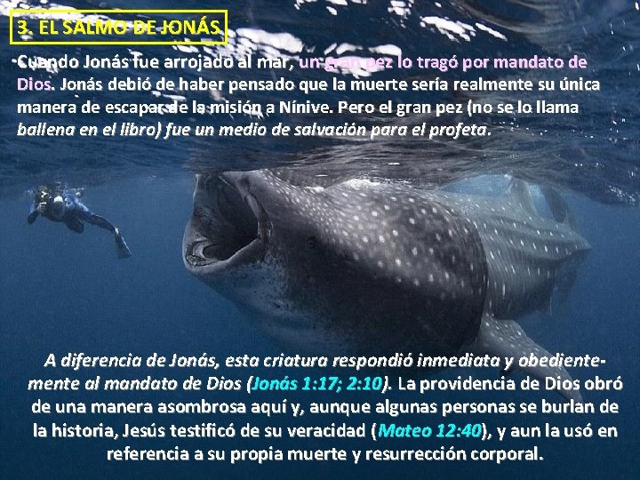 3. EL SALMO DE JONÁS Cuando Jonás fue arrojado al mar, un gran pez