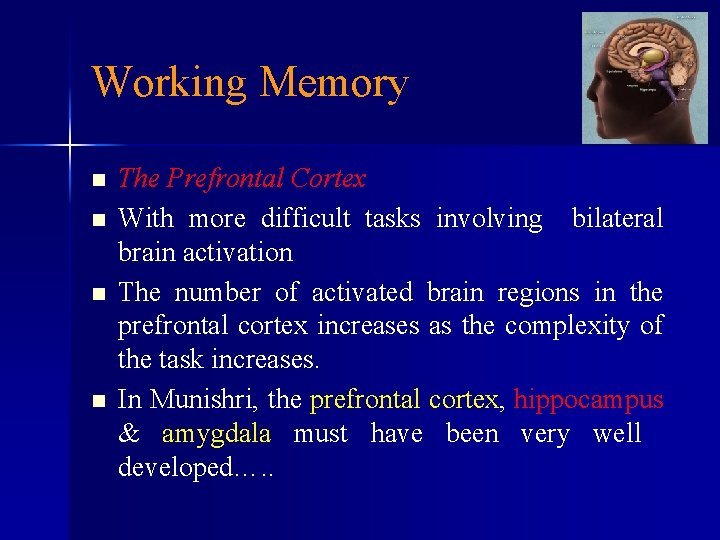 Working Memory n n The Prefrontal Cortex With more difficult tasks involving bilateral brain