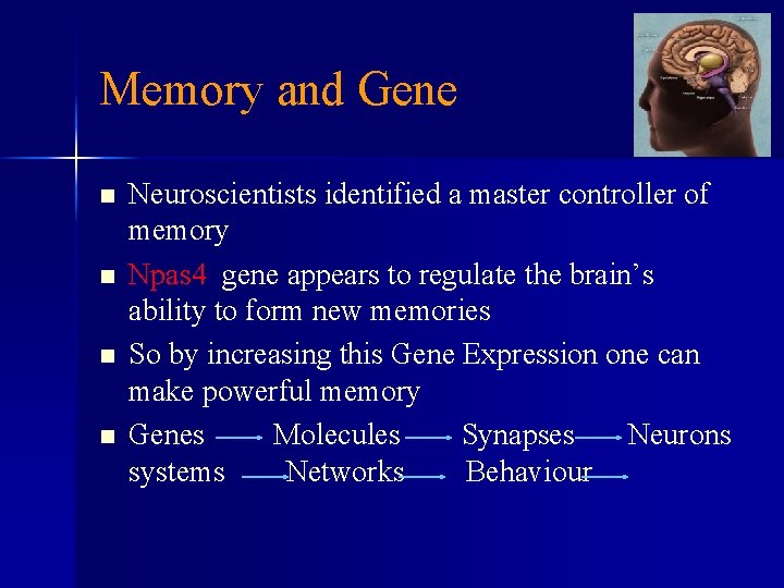 Memory and Gene n n Neuroscientists identified a master controller of memory Npas 4