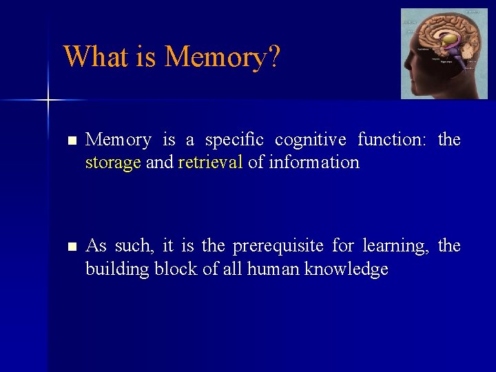 What is Memory? n Memory is a speciﬁc cognitive function: the storage and retrieval