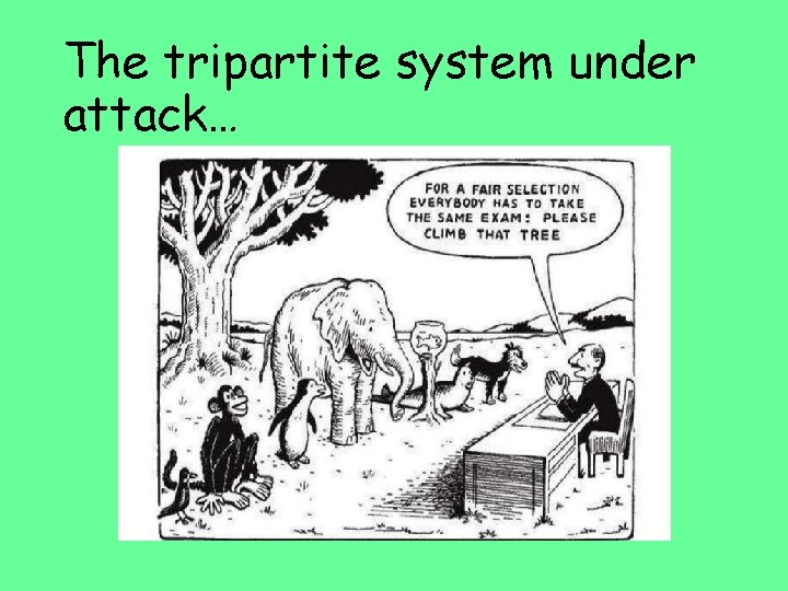 The tripartite system under attack… 