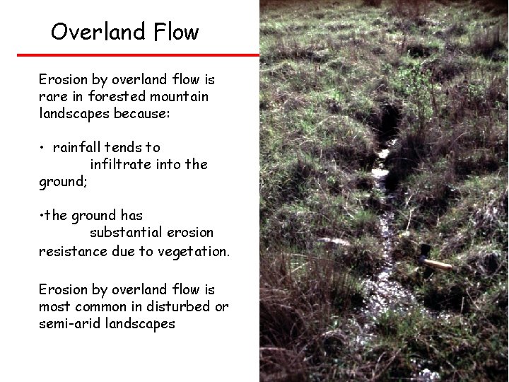 Overland Flow Erosion by overland flow is rare in forested mountain landscapes because: •