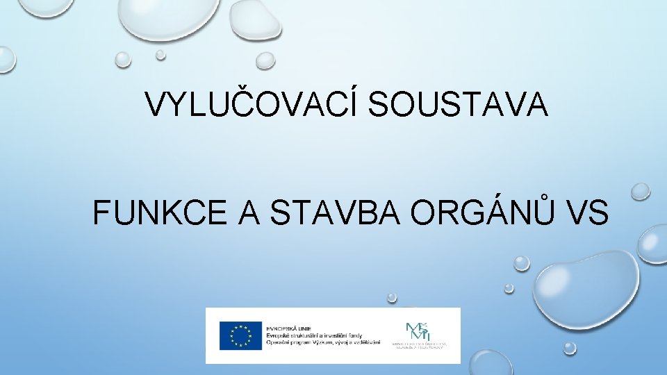 VYLUČOVACÍ SOUSTAVA FUNKCE A STAVBA ORGÁNŮ VS 