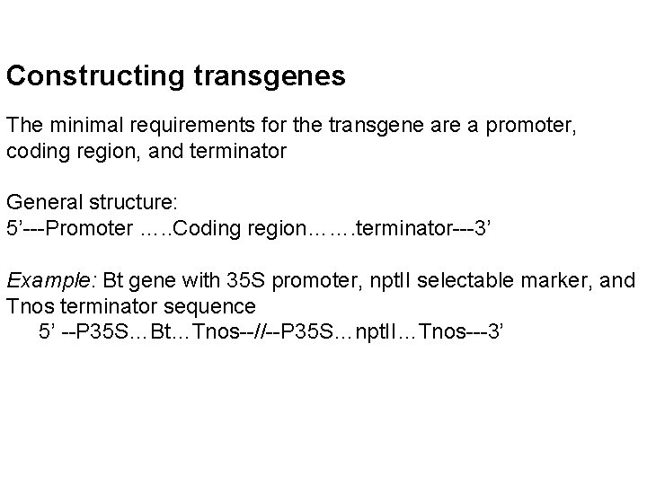 Constructing transgenes The minimal requirements for the transgene are a promoter, coding region, and