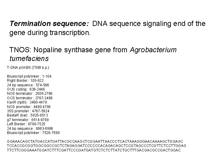 Termination sequence: DNA sequence signaling end of the gene during transcription. TNOS: Nopaline synthase
