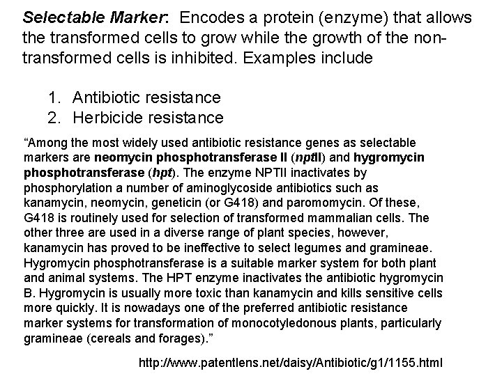 Selectable Marker: Encodes a protein (enzyme) that allows the transformed cells to grow while