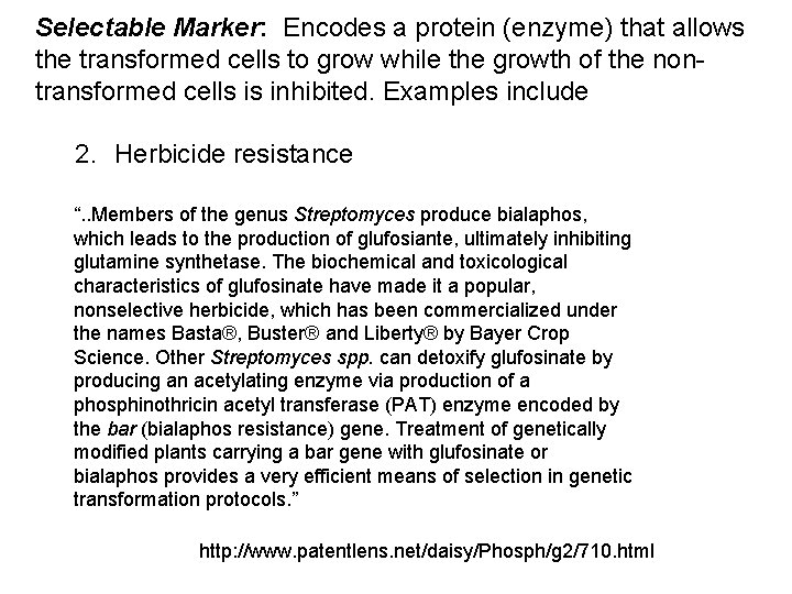 Selectable Marker: Encodes a protein (enzyme) that allows the transformed cells to grow while