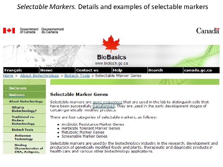 Selectable Markers. Details and examples of selectable markers 