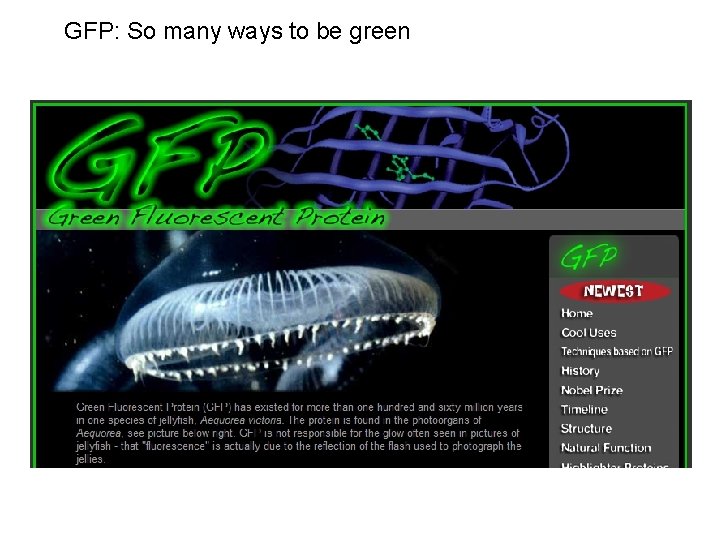 GFP: So many ways to be green 