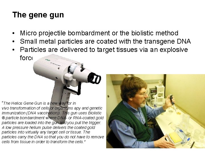 The gene gun • Micro projectile bombardment or the biolistic method • Small metal