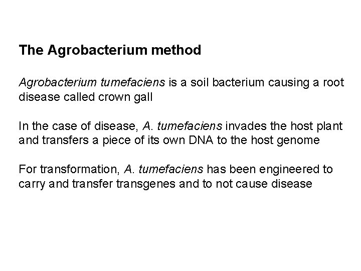 The Agrobacterium method Agrobacterium tumefaciens is a soil bacterium causing a root disease called