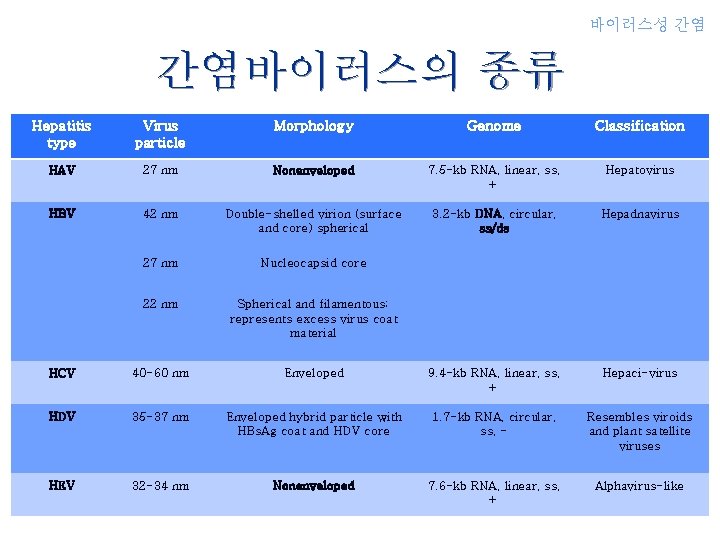 바이러스성 간염 간염바이러스의 종류 Hepatitis type Virus particle Morphology Genome Classification HAV 27 nm