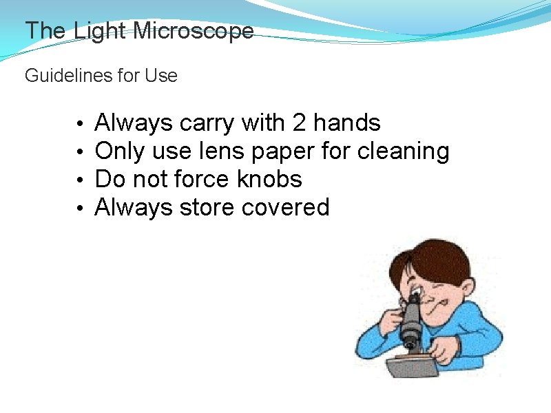 The Light Microscope Guidelines for Use • • Always carry with 2 hands Only