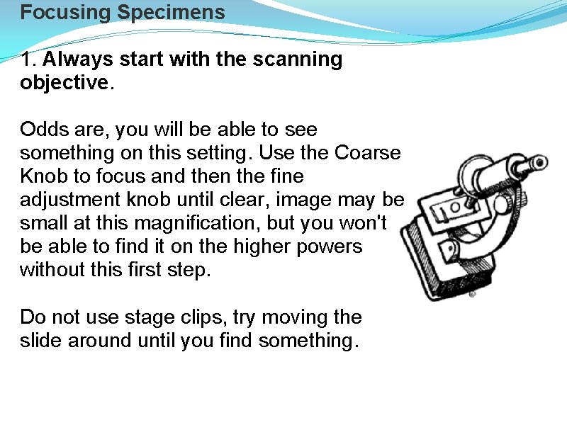 Focusing Specimens 1. Always start with the scanning objective. Odds are, you will be