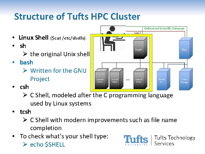 Structure of Tufts HPC Cluster • Linux Shell ($cat /etc/shells) • sh Ø the