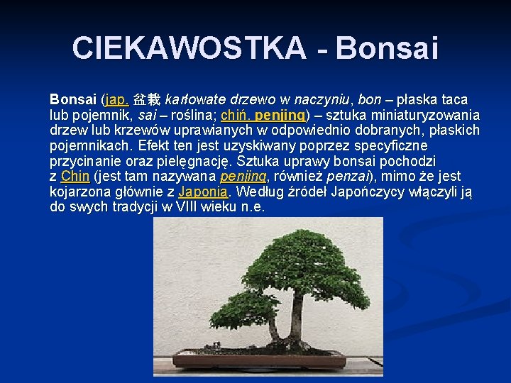 CIEKAWOSTKA - Bonsai (jap. 盆栽 karłowate drzewo w naczyniu, bon – płaska taca lub