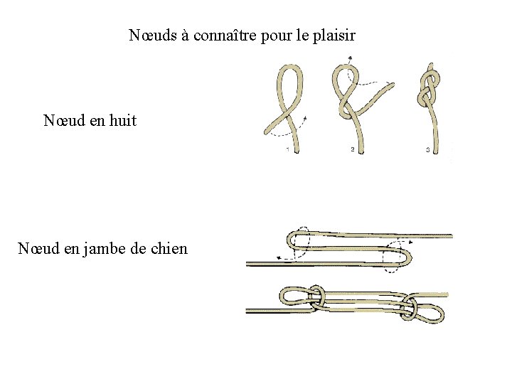 Nœuds à connaître pour le plaisir Nœud en huit Nœud en jambe de chien