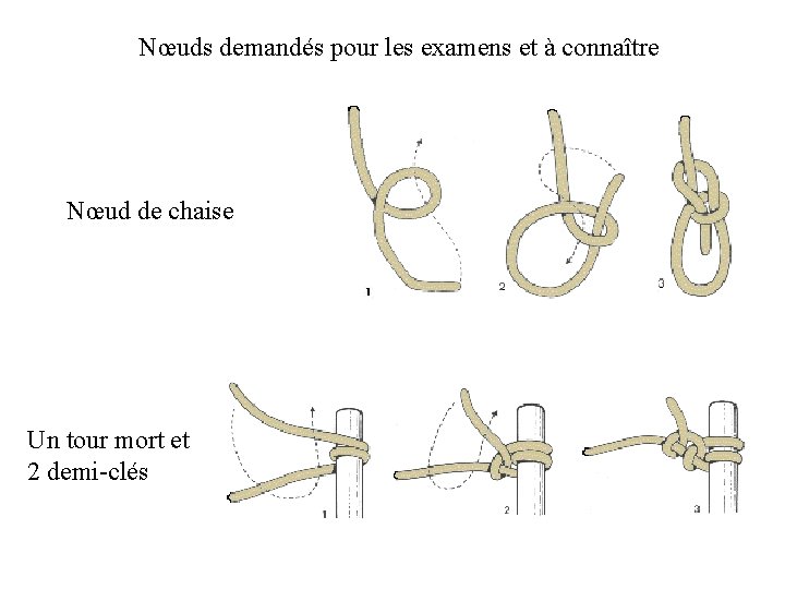 Nœuds demandés pour les examens et à connaître Nœud de chaise Un tour mort