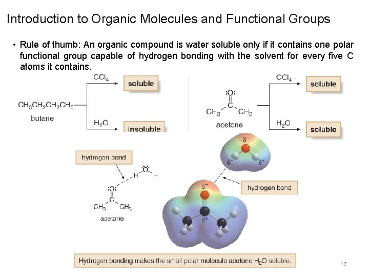 Introduction to Organic Molecules and Functional Groups • Rule of thumb: An organic compound