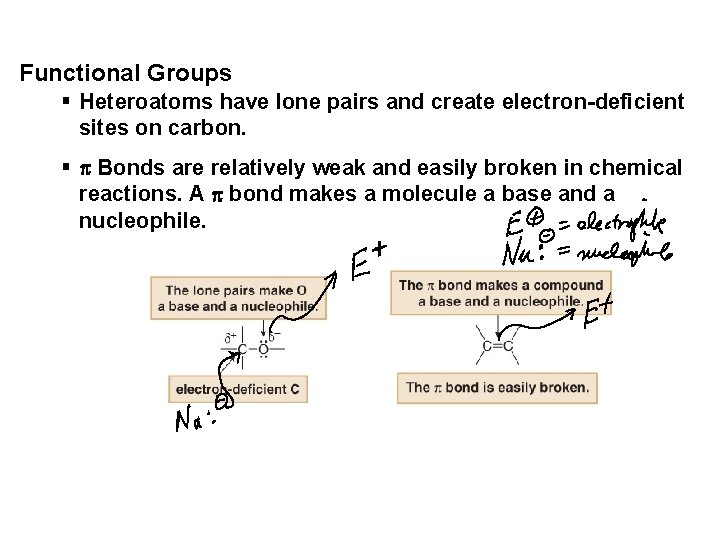 Functional Groups § Heteroatoms have lone pairs and create electron-deficient sites on carbon. §