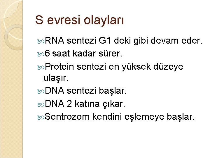 S evresi olayları RNA sentezi G 1 deki gibi devam eder. 6 saat kadar