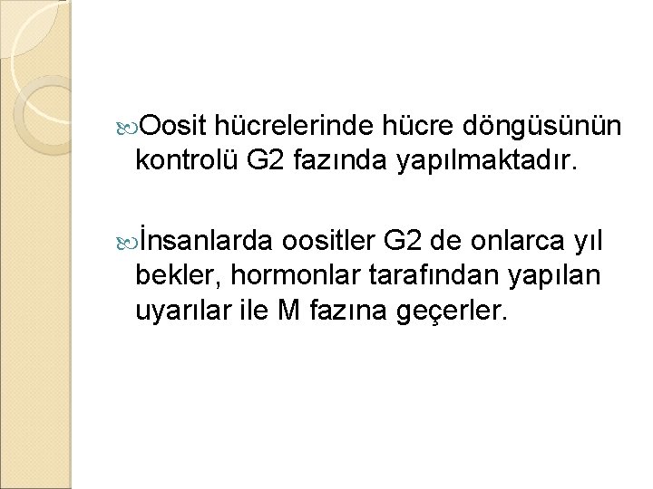  Oosit hücrelerinde hücre döngüsünün kontrolü G 2 fazında yapılmaktadır. İnsanlarda oositler G 2