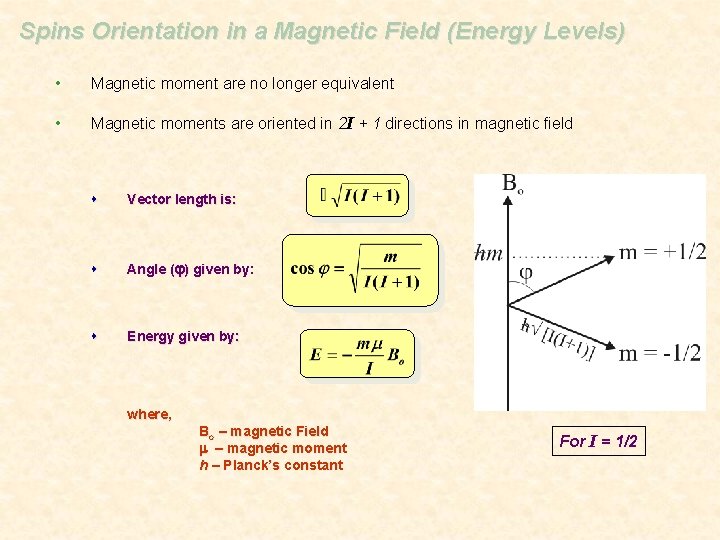 Spins Orientation in a Magnetic Field (Energy Levels) • Magnetic moment are no longer