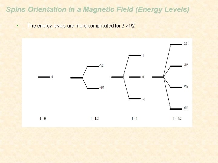 Spins Orientation in a Magnetic Field (Energy Levels) • The energy levels are more