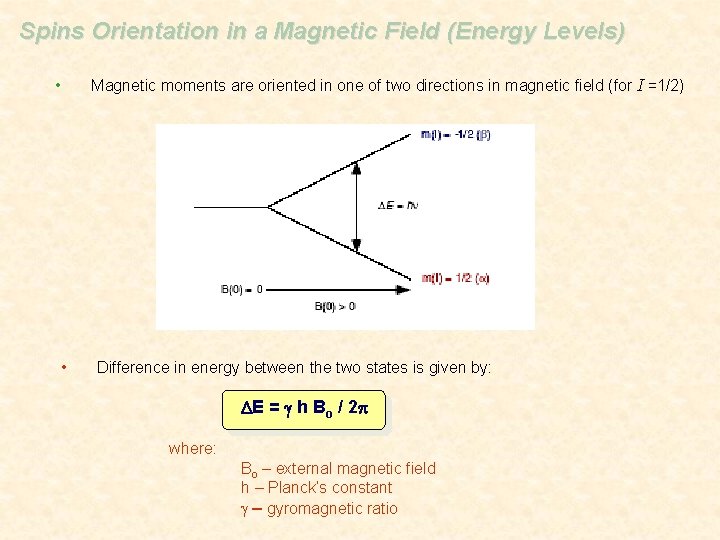 Spins Orientation in a Magnetic Field (Energy Levels) Magnetic moments are oriented in one